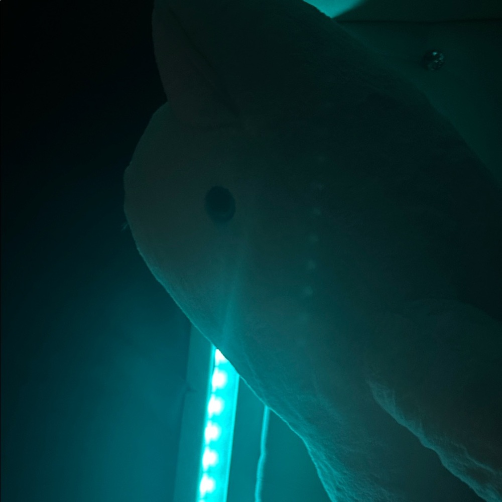 Plush Dolphin Toy